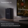 Яндекс.Станция Макс с Zigbee - умная колонка с Алисой YNDX-00052 Серый/white + пульт YNDX-00401